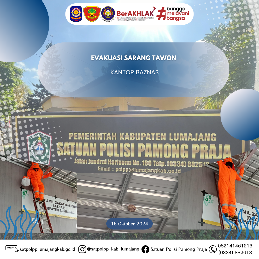 Evakuasi Sarang Tawon di Kantor Baznas