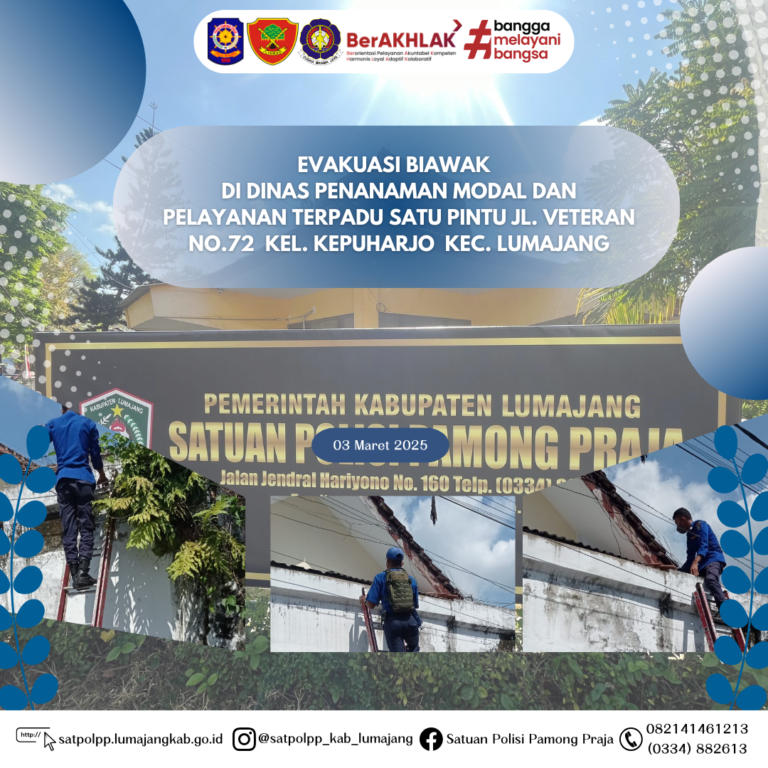 Evakuasi Biawak  di Dinas Penanaman Modal Dan Pelayanan Terpadu Satu Pintu Jl. Veteran No.72  Kel. Kepuharjo  kec. Lumajang 