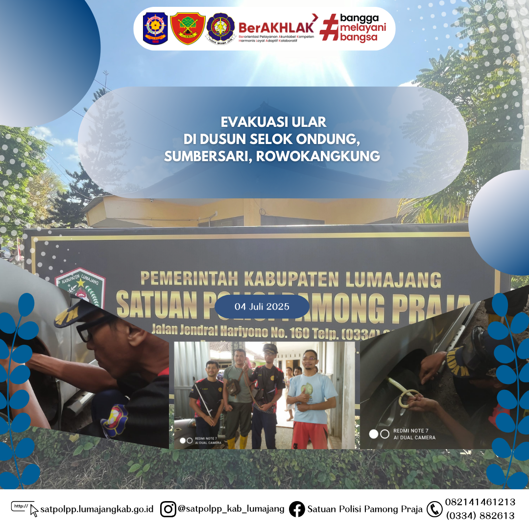 Evakuasi Ular di Mobil