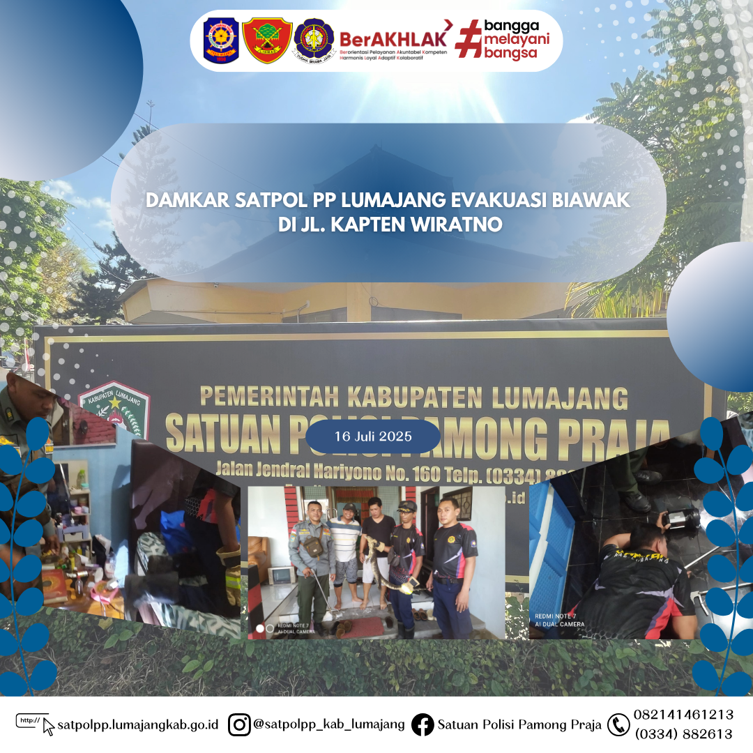 Satpol PP Lumajang Evakuasi Biawak di Jl. Kapten Wiratno