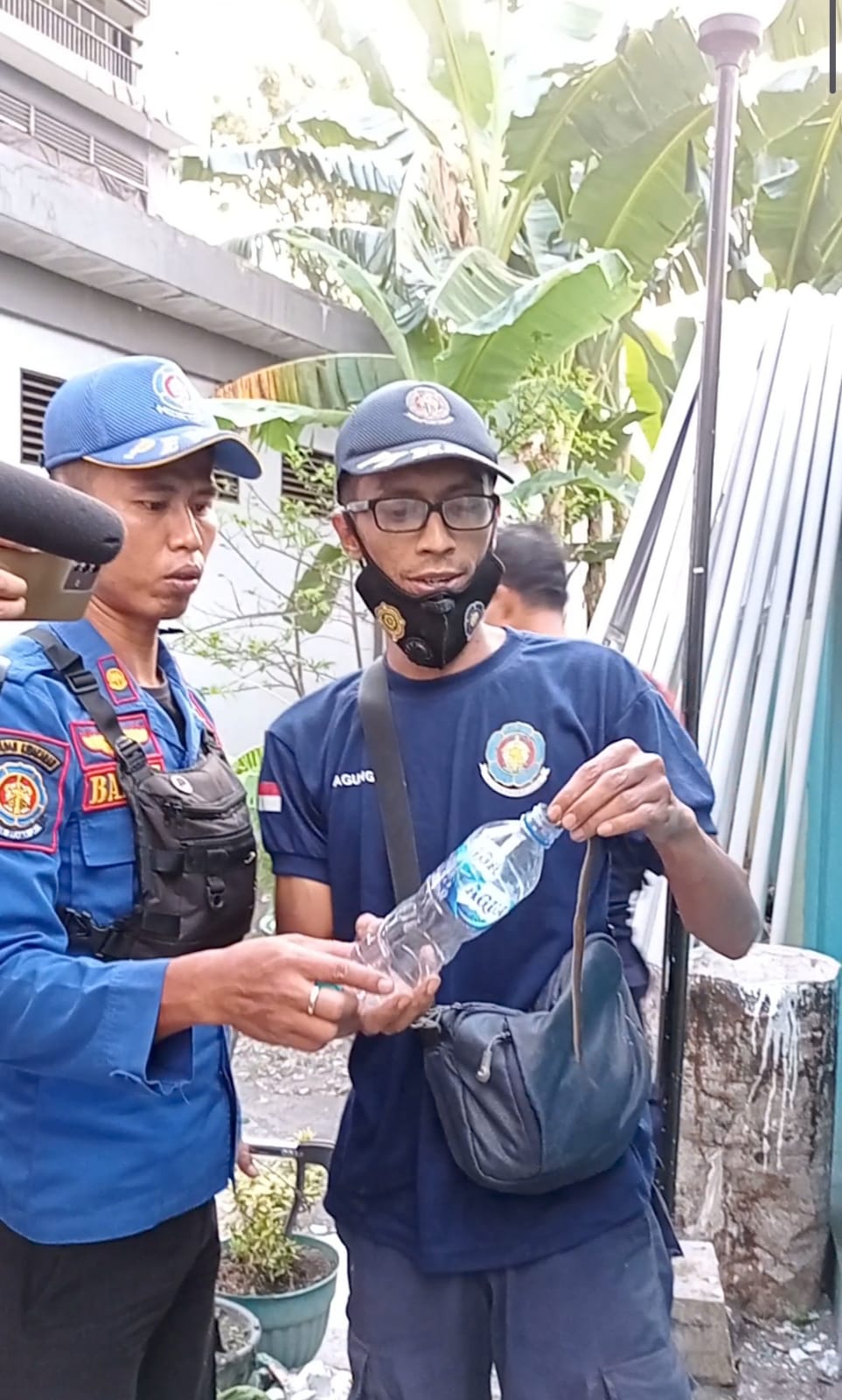 Ular Kobra Teror Kawasan Kantor DPKP Komplek Rusunawa Lumajang