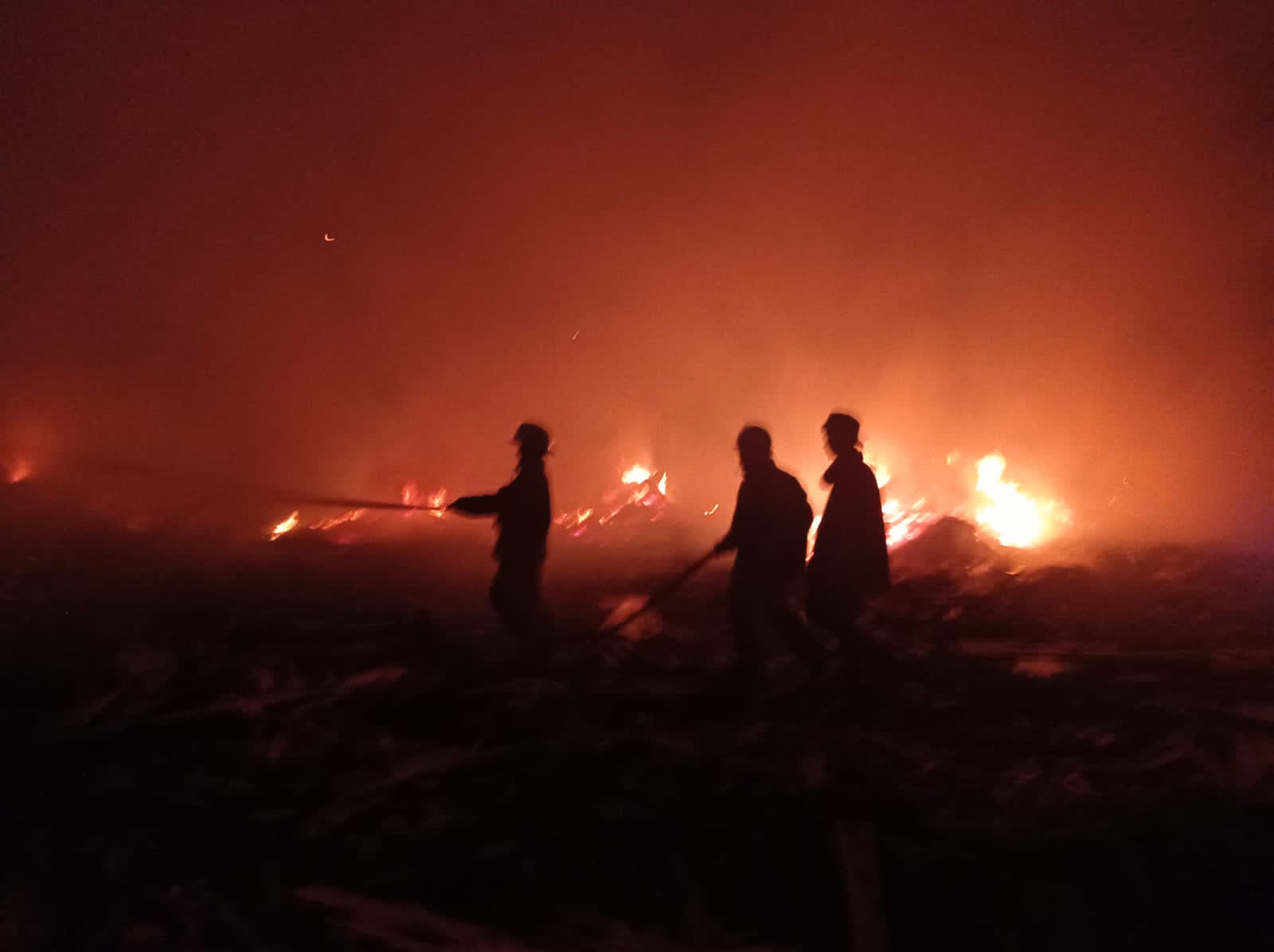 Penanganan Kebakaran Tempat Pengolahan Limbah Kayu UD.Wijaya Barokah Mandiri
