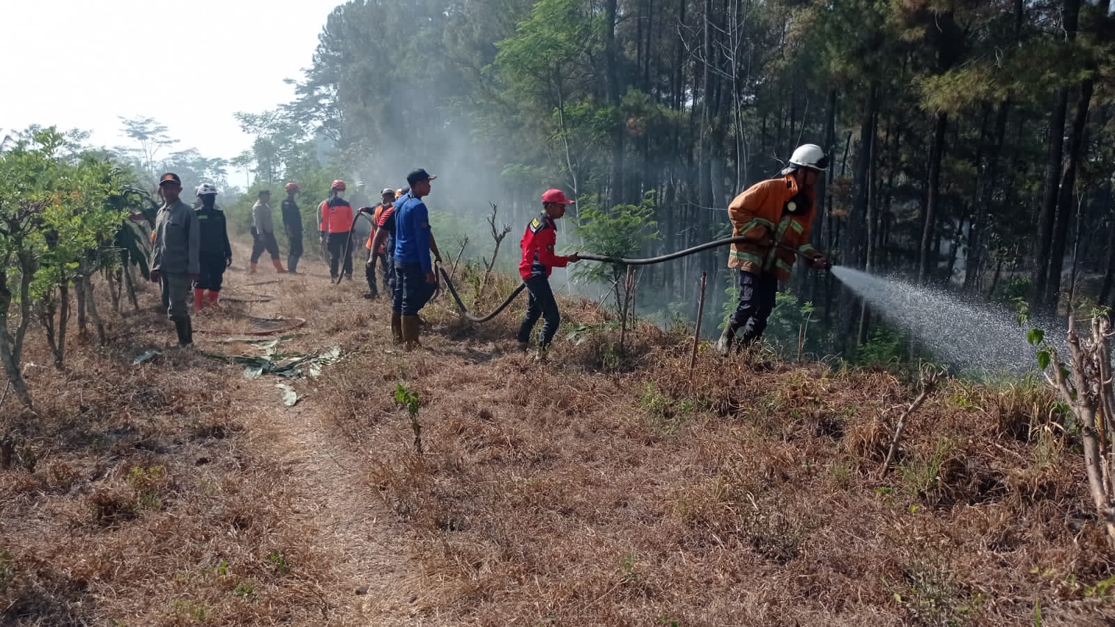 Penanganan Kebakaran Hutan di Dusun Pasrepan RT 03 RW 01 Desa Kertoasari Kec. Pasrujambe Kab. Lumajang