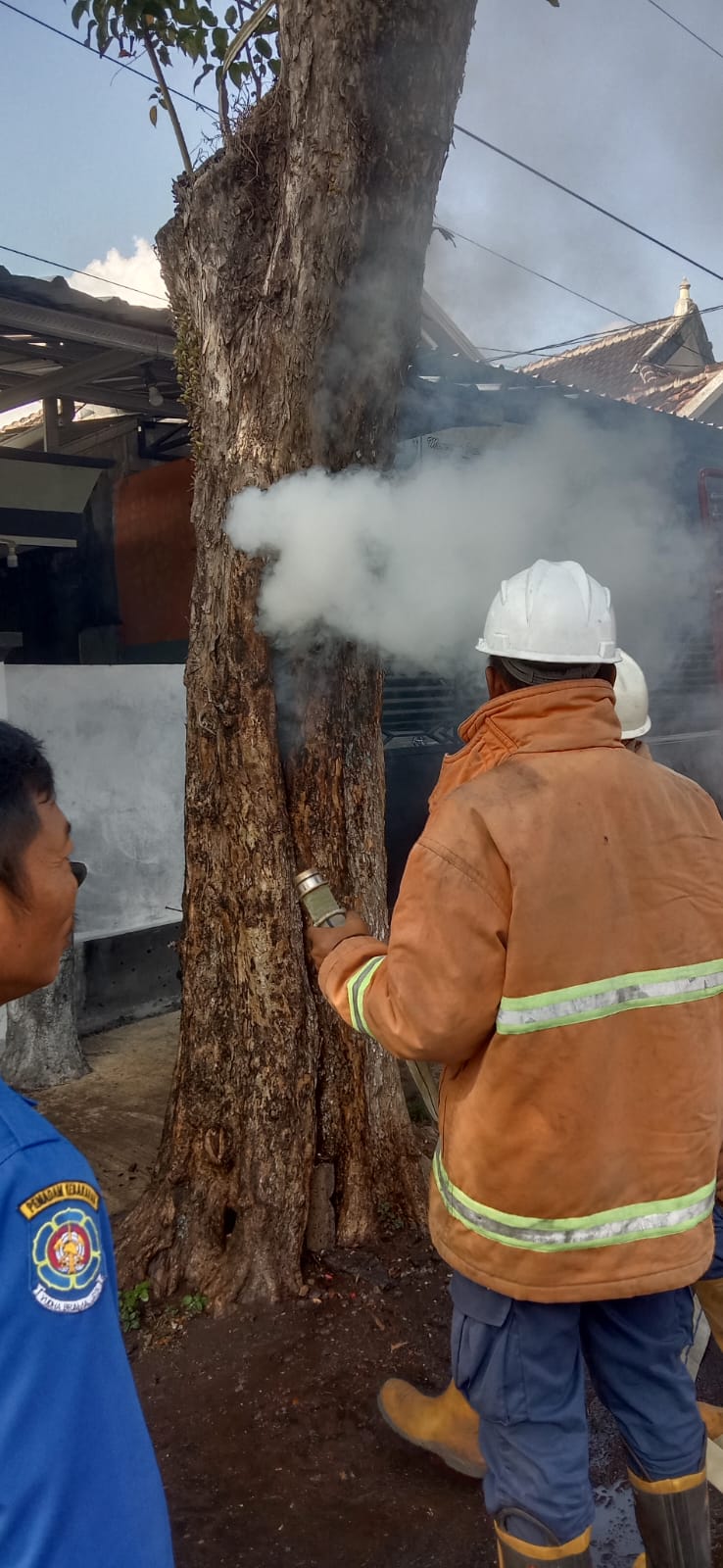 Penanganan Kebakaran Pohon di Jalan Cokrosudjono RT 03 RW 02 Kelurahan Jogoyudan