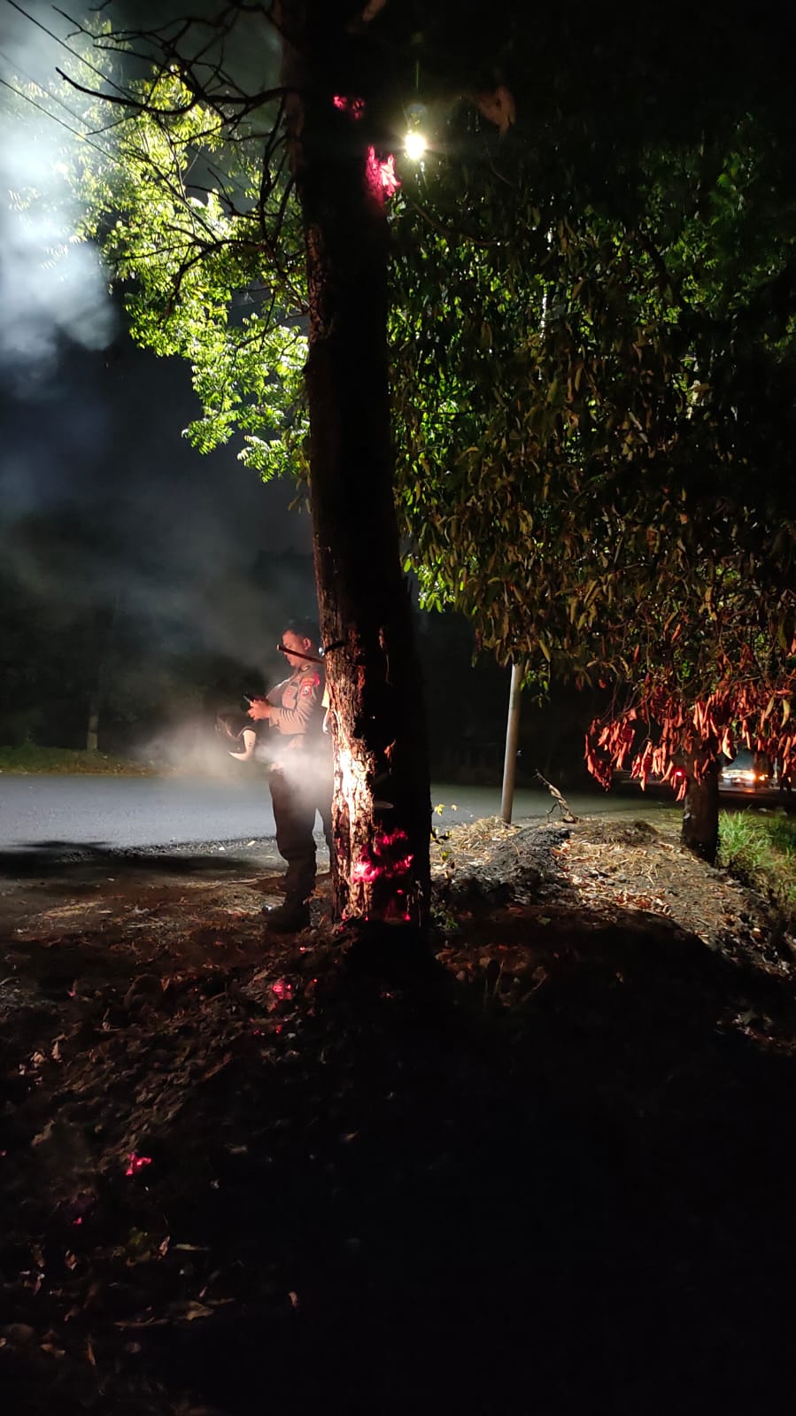 Penanganan Kebakaran Pohon di Jalan Lintas Timur ( JLT ) Kel. Jogoyudan Kec. Lumajang 