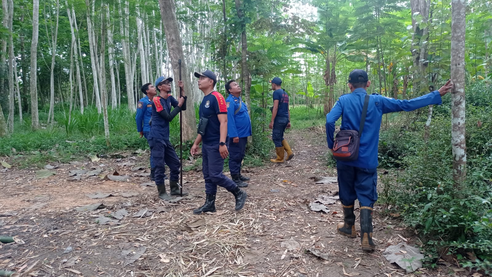 Evakuasi Kera di Dusun. Bayur  RT 02/ RW 01 Desa Sumbersari Kec. Rowokangkung 