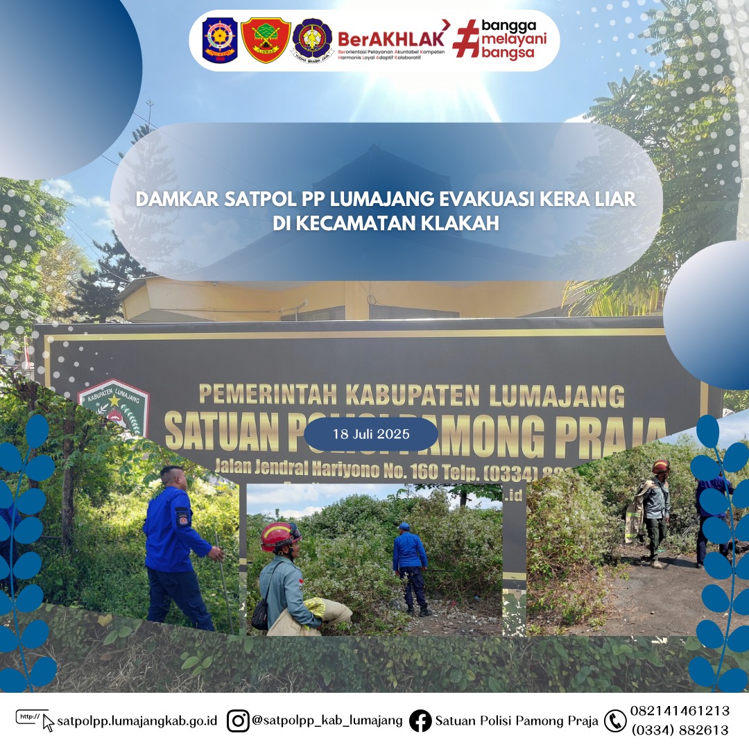 Damkar Satpol PP Kabupaten Lumajang Evakuasi Kera Liar di Puskesmas Klakah