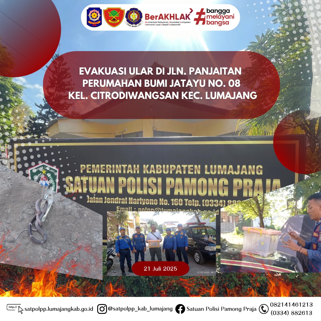 Evakuasi Ular Welang di Perumahan Bumi Jatayu Berhasil Dilakukan