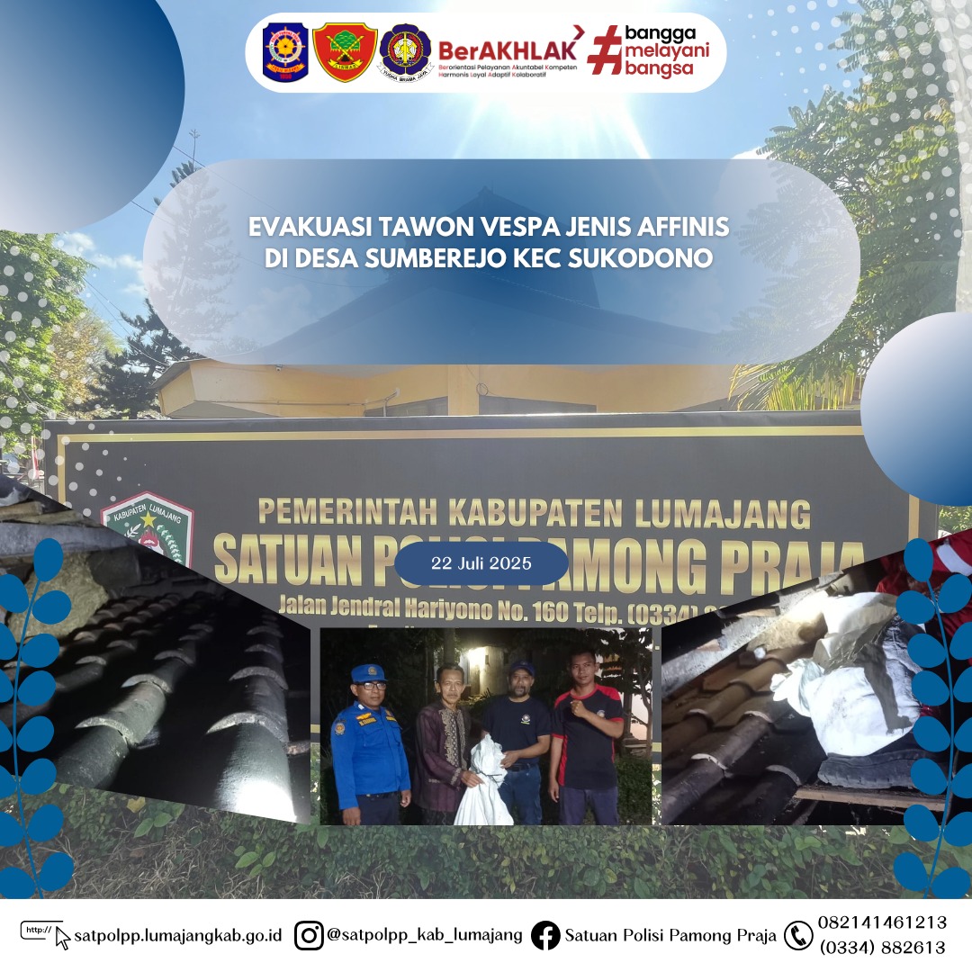 Evakuasi Tawon Vespa Affinis di Sukodono Berhasil Dilakukan