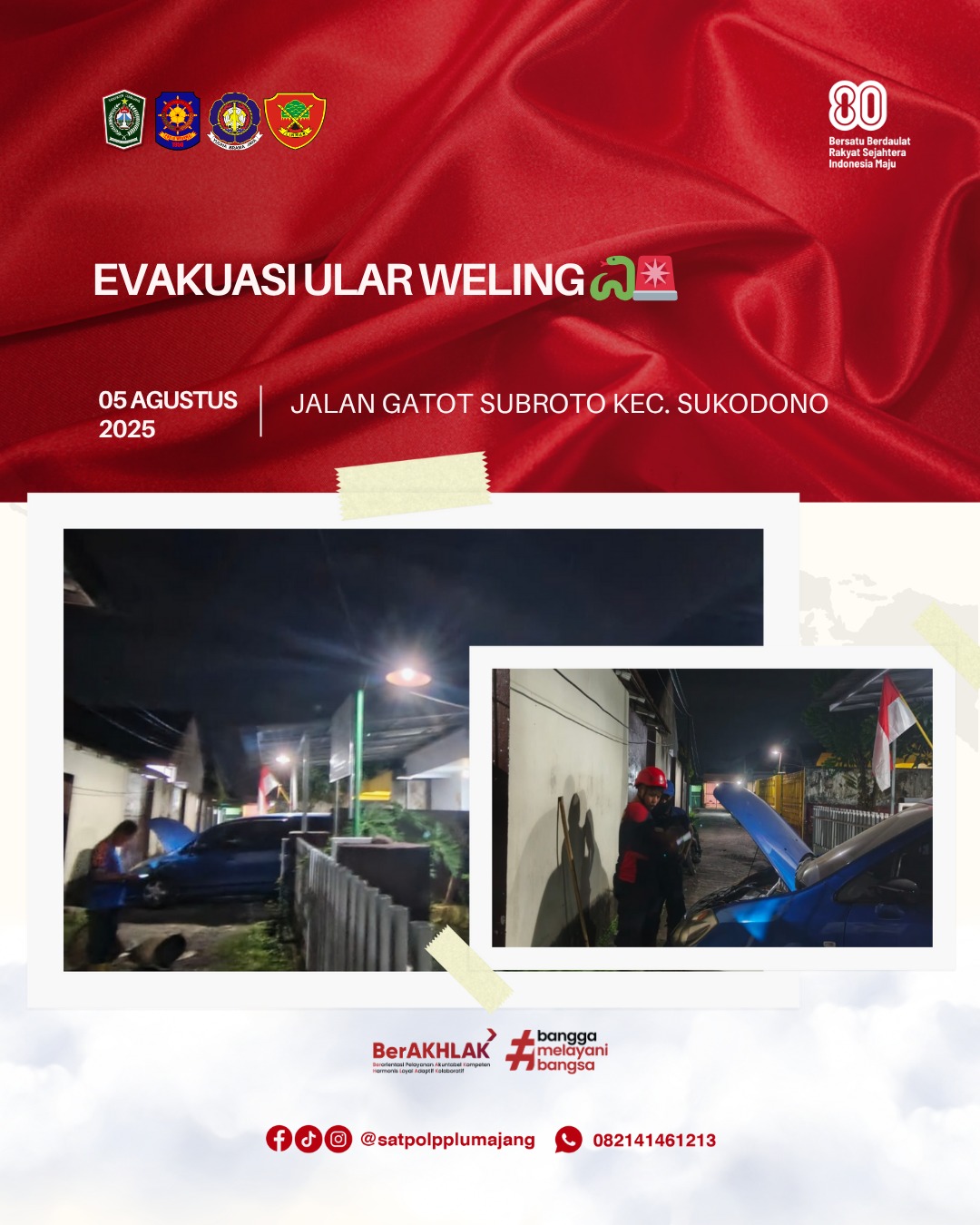 Evakuasi Ular di Jalan Gatot Subroto