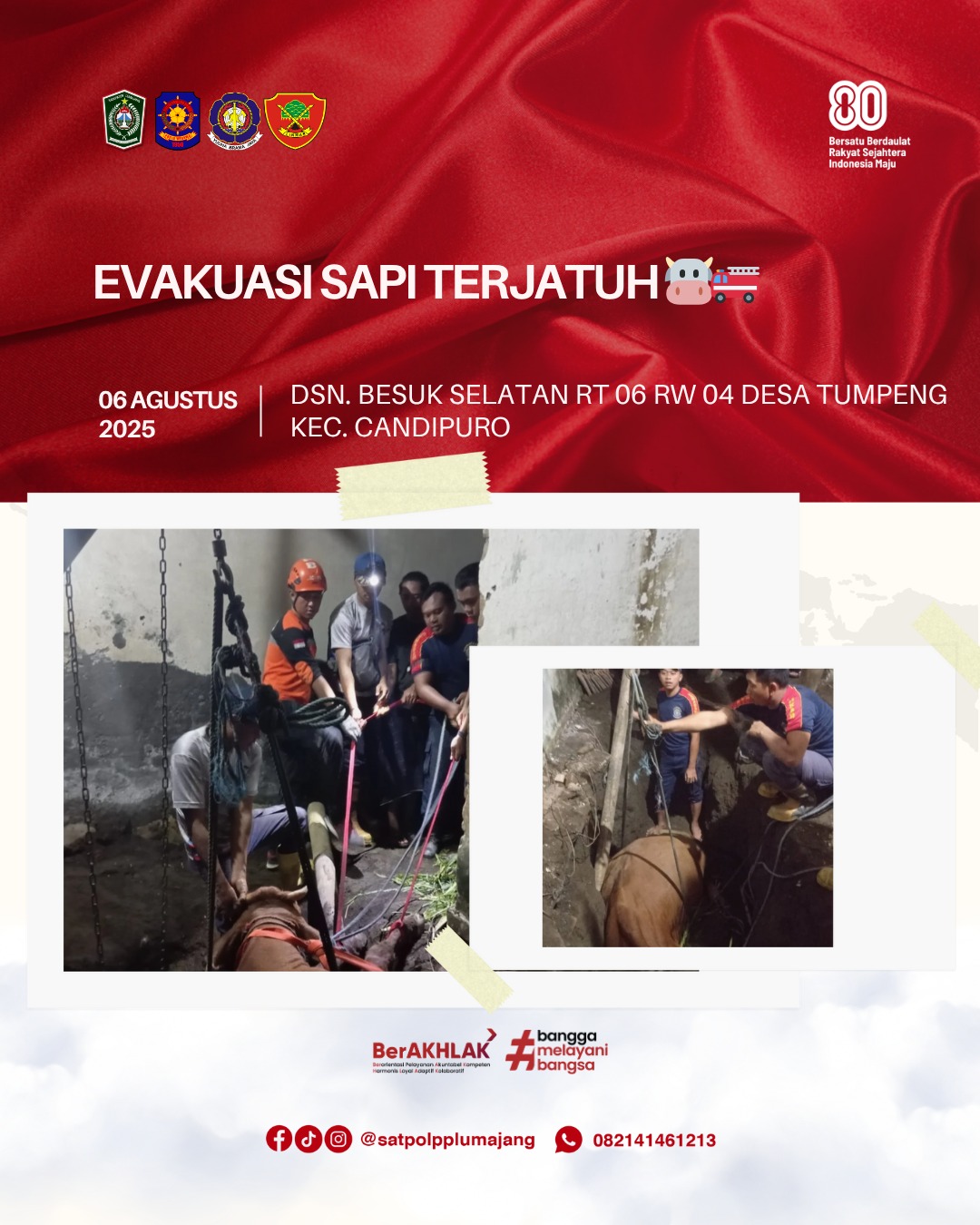 Evakuasi Sapi Terjatuh