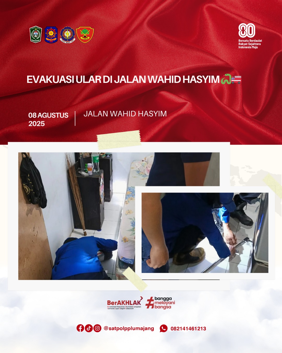 Evakuasi Ular di Jalan Wahid Hasyim