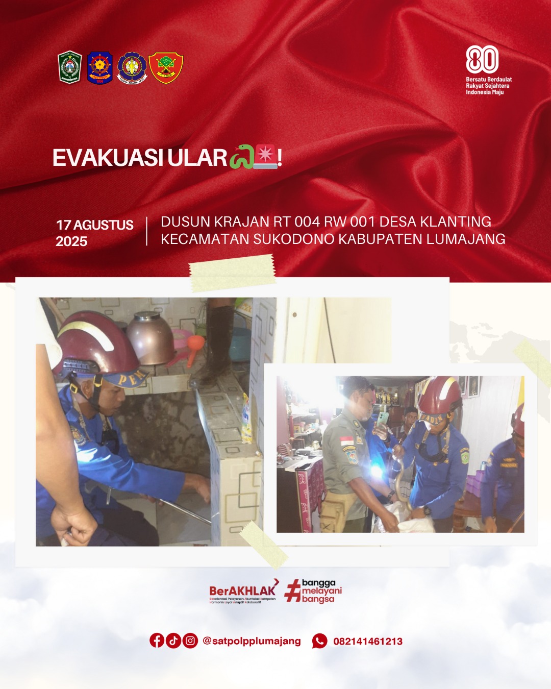 Evakuasi Ular di Sukodono