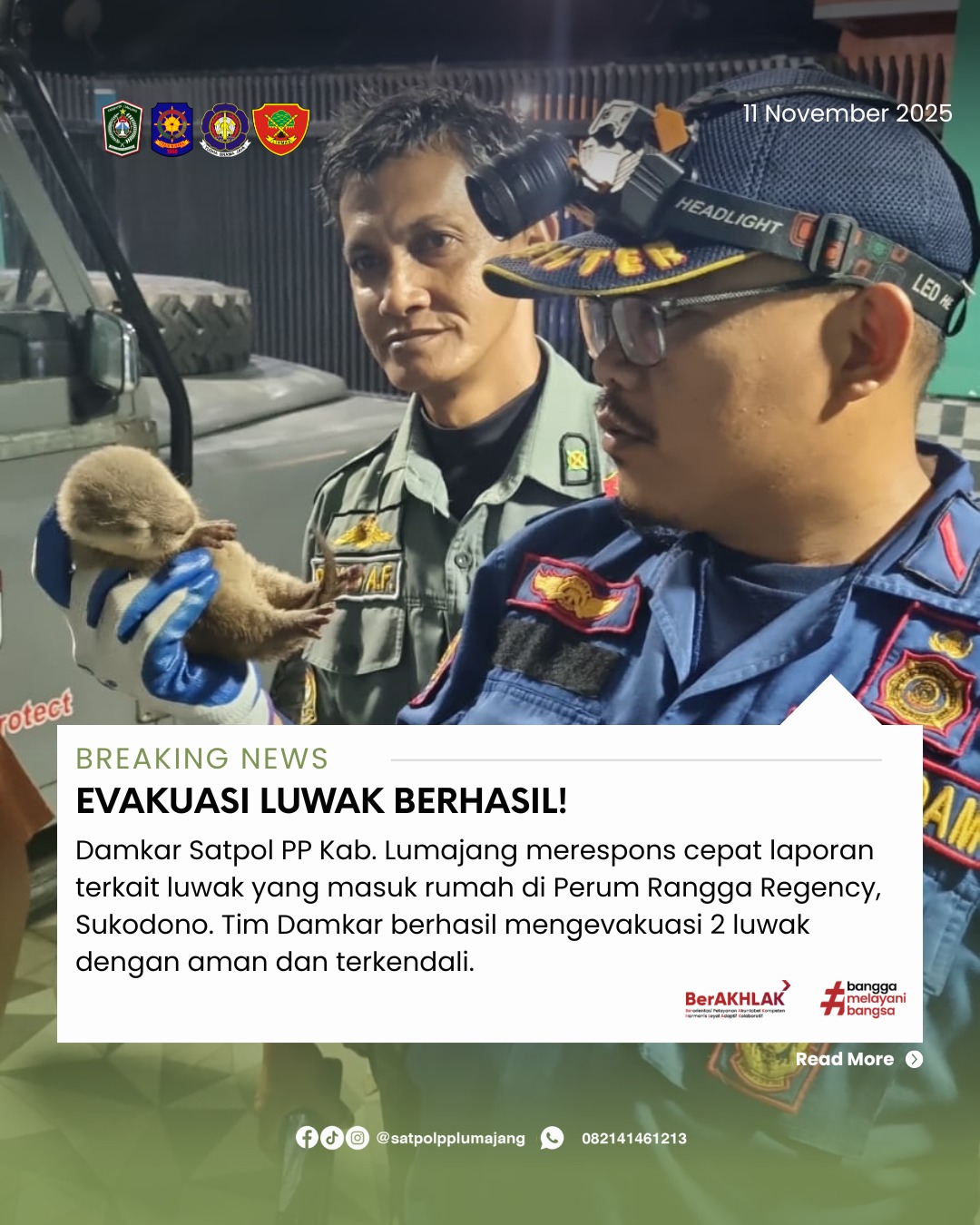 Damkar Satpol PP Kab. Lumajang Laksanakan Evakuasi Luwak di Perum Rangga Regency