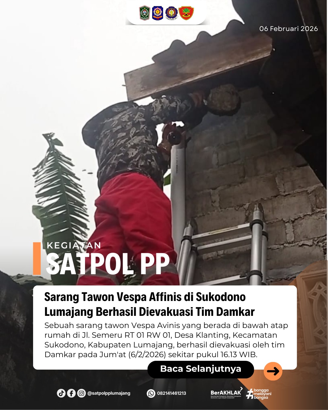 Sarang Tawon Vespa Affinis di Sukodono Lumajang Berhasil Dievakuasi Tim Damkar