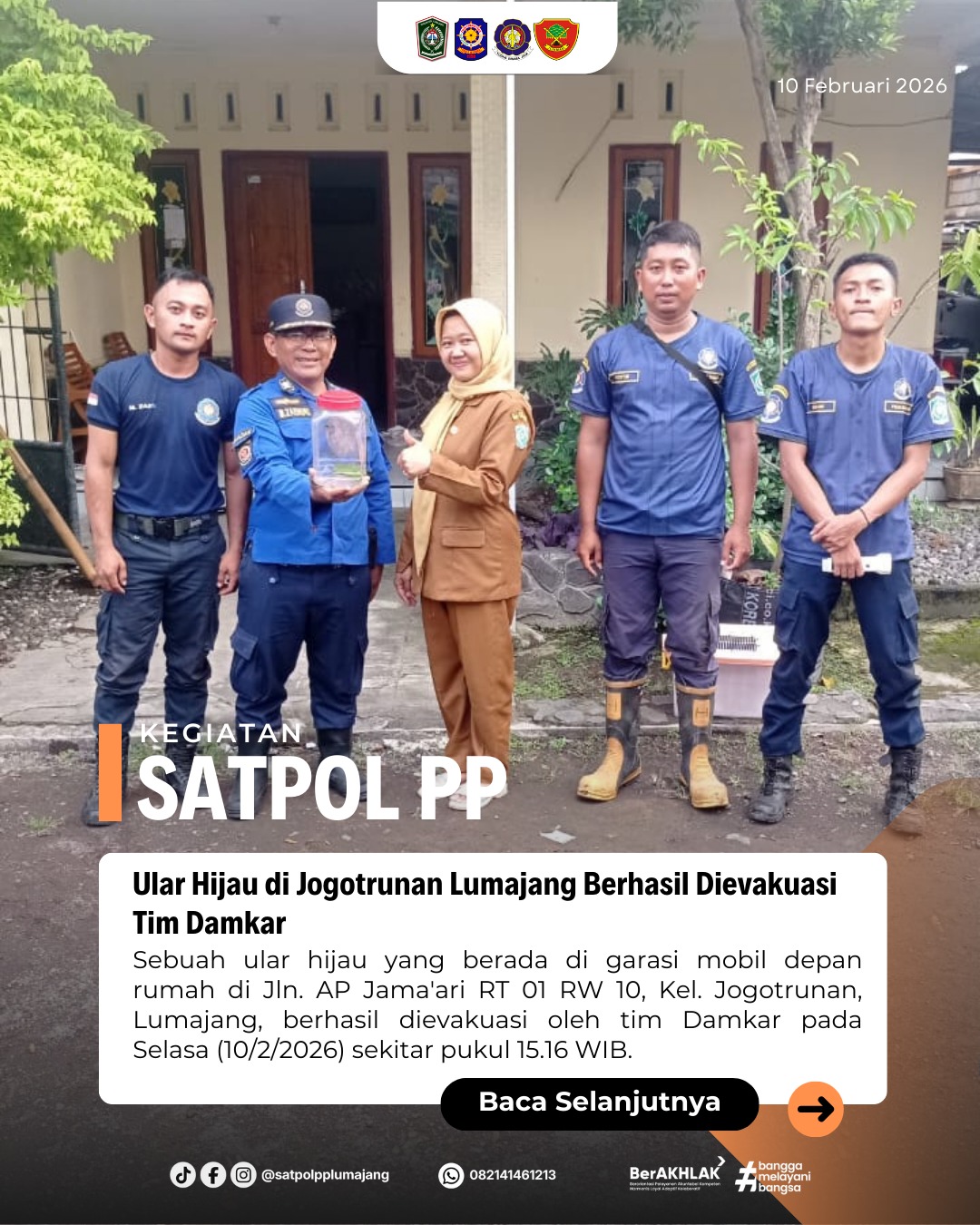 Ular Hijau di Jogotrunan Lumajang Berhasil Dievakuasi Tim Damkar