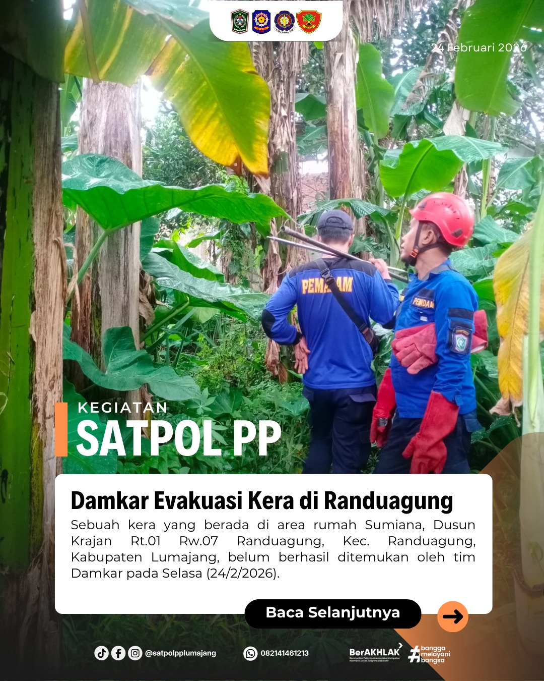 Damkar Evaskuasi Kera di Randuagung