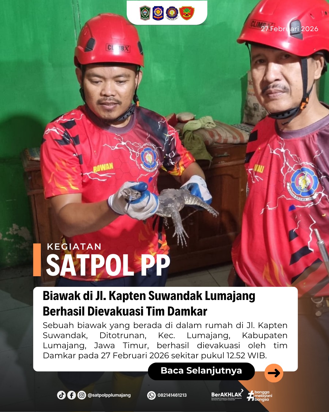 Biawak di Jl. Kapten Suwandak Lumajang Berhasil Dievakuasi Tim Damkar