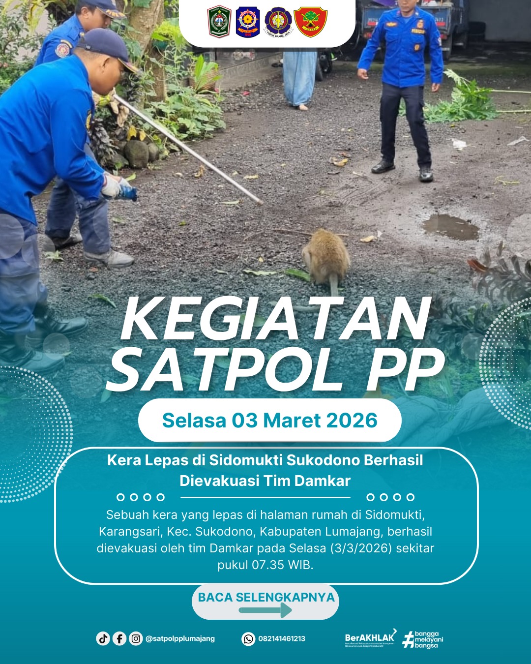 Kera Lepas di Sidomukti Sukodono Berhasil Dievakuasi Tim Damkar