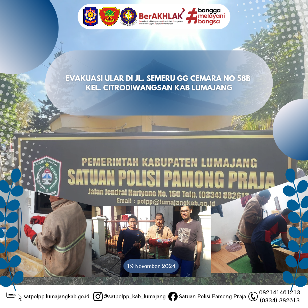 Evakuasi Ular di Jl.  Semeru GG Cemara no 58b Kel. Citrodiwangsan Kab Lumajang