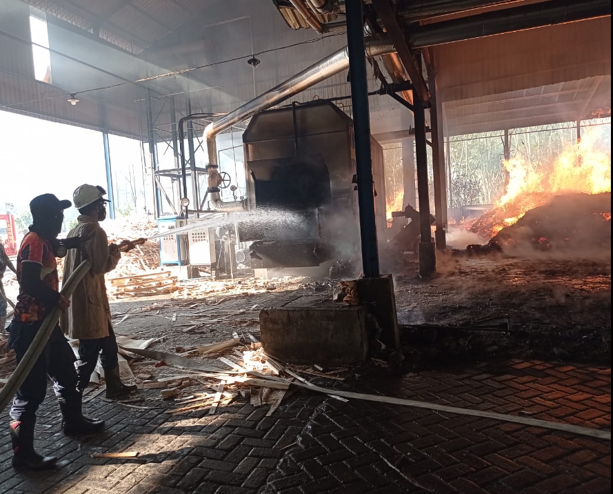 Kebakaran Pabrik Kayu PT Multi Mustika Agung Klakah