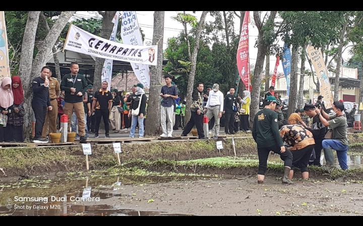Pengamanan Bupati Kegiatan Pemasangan Tanda Batas ( Patok ) Secara Serentak di seluruh Indonesia di Desa Karangsari Kecamatan Sukodono Lumajang