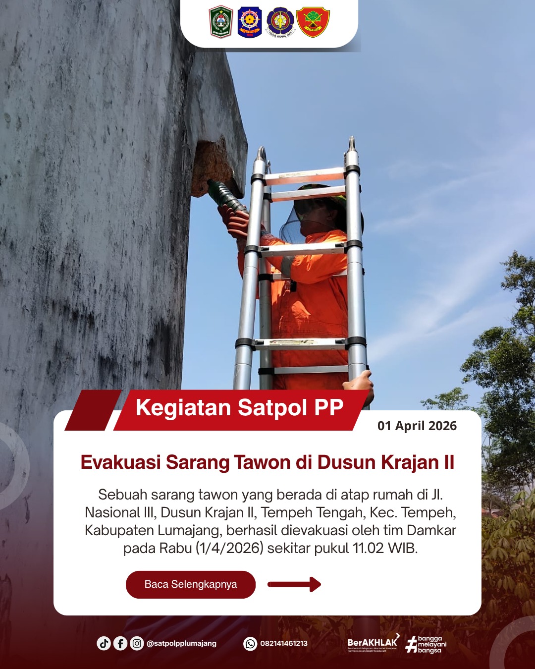 Tawon di JI. Nasional III Tempeh Berhasil Dievakuasi Tim Damkar