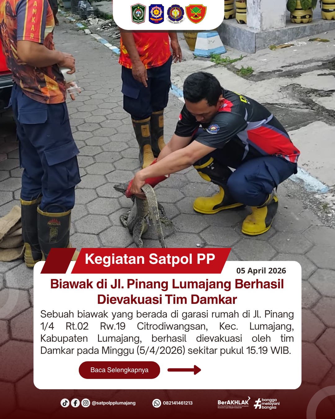 Biawak di Jl. Pinang Lumajang Berhasil Dievakuasi Tim Damkar