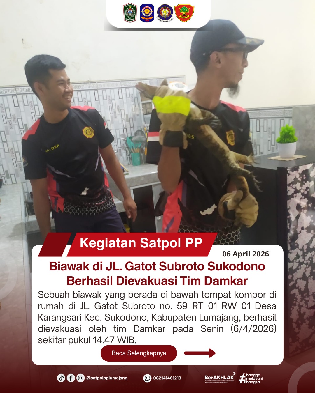 Biawak di JL. Gatot Subroto Sukodono Berhasil Dievakuasi Tim Damkar