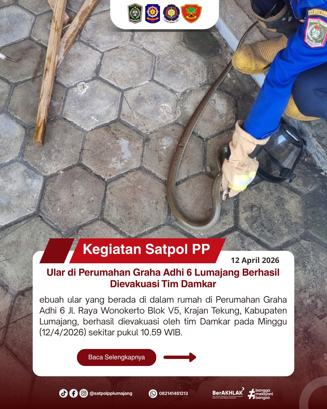 Ular di Perumahan Graha Adhi 6 Lumajang Berhasil Dievakuasi Tim Damkar