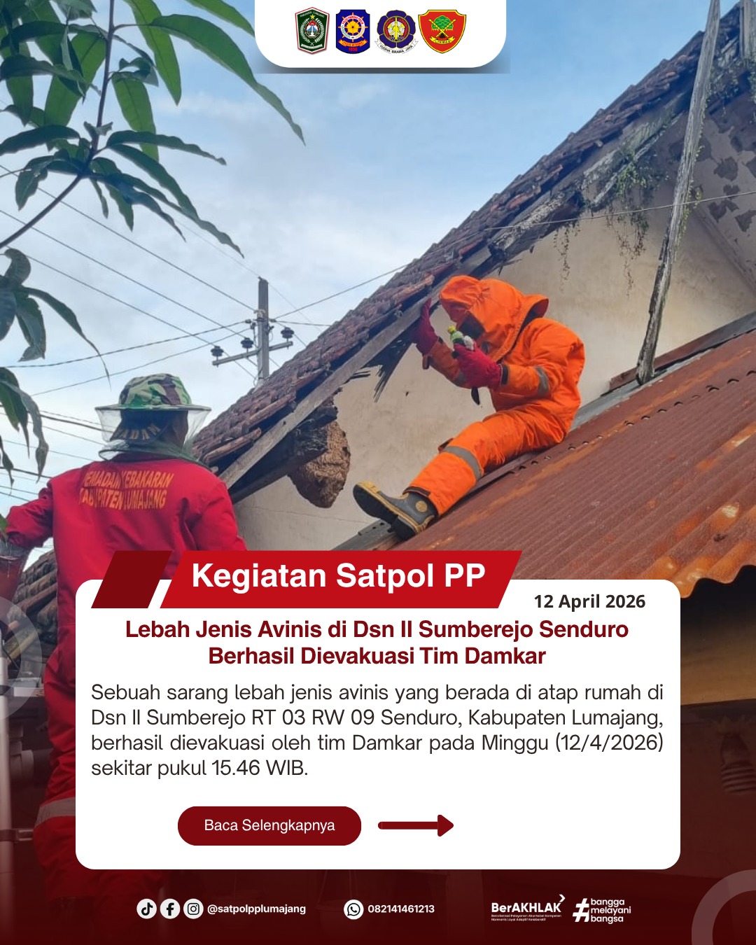 Lebah Jenis Avinis di Dsn II Sumberejo Senduro Berhasil Dievakuasi Tim Damkar