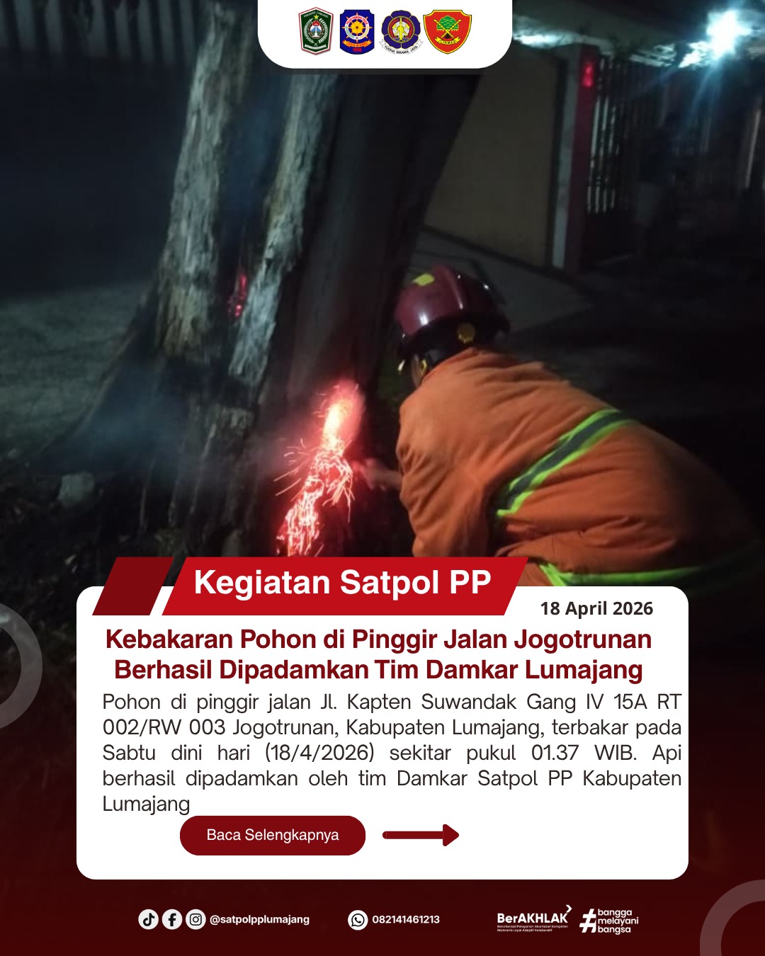 Kebakaran Pohon di Pinggir Jalan Jogotrunan Berhasil Dipadamkan Tim Damkar Lumajang