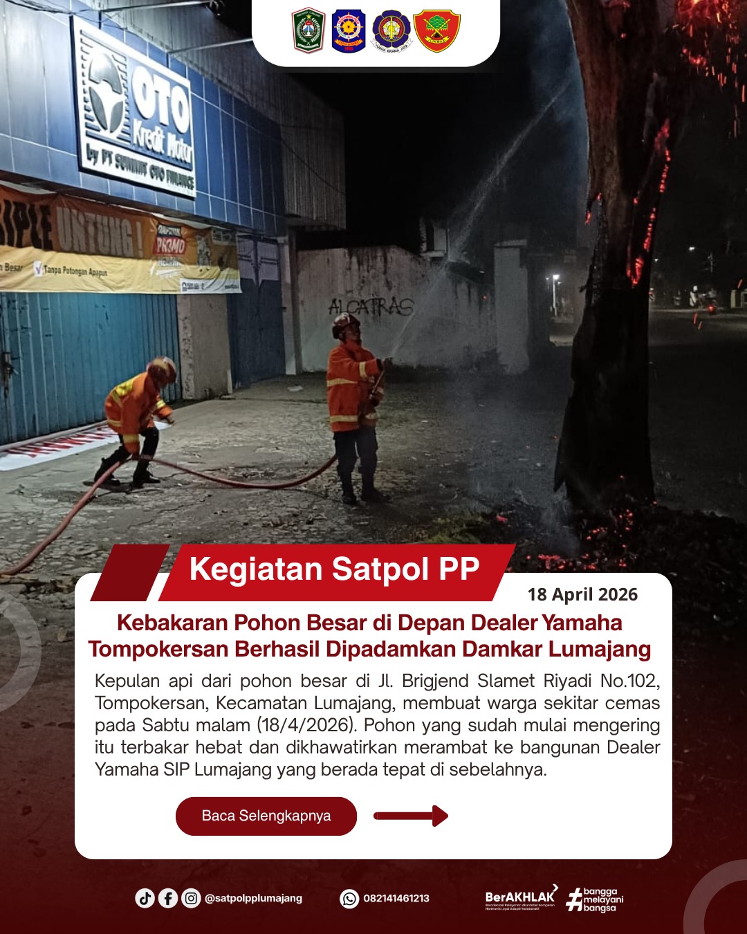 Kebakaran Pohon Besar di Depan Dealer Yamaha Tompokersan Berhasil Dipadamkan Damkar Lumajang