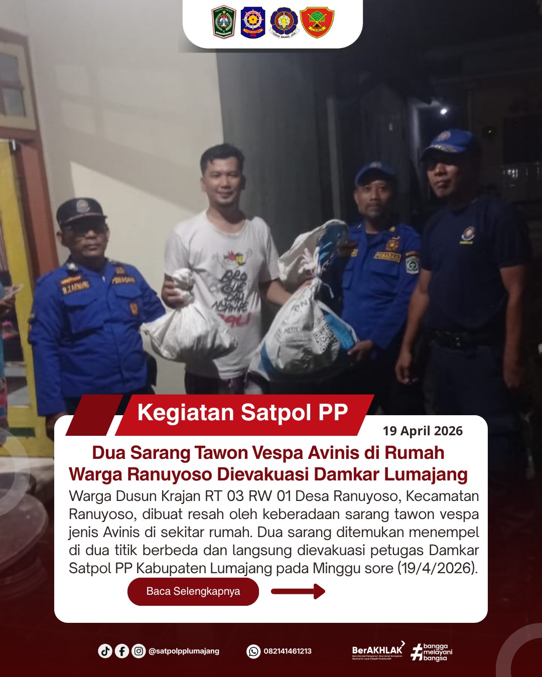 Dua Sarang Tawon Vespa Avinis di Rumah Warga Ranuyoso Dievakuasi Damkar Lumajang